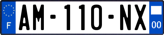 AM-110-NX