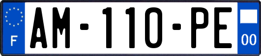 AM-110-PE
