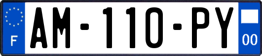 AM-110-PY