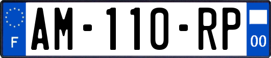 AM-110-RP