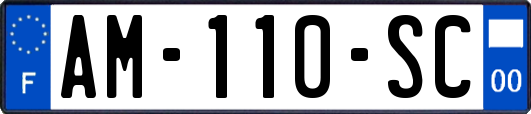 AM-110-SC