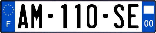 AM-110-SE