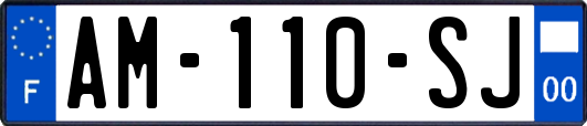 AM-110-SJ