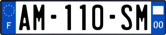 AM-110-SM
