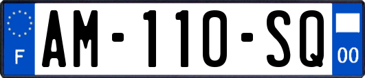 AM-110-SQ
