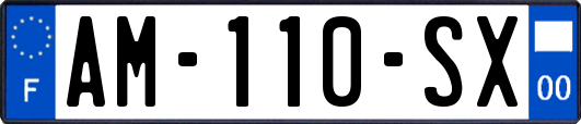 AM-110-SX