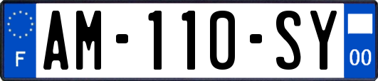 AM-110-SY