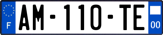 AM-110-TE