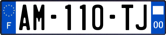 AM-110-TJ