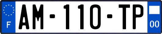 AM-110-TP