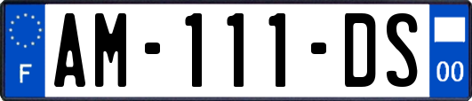 AM-111-DS