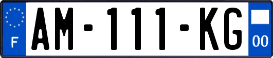 AM-111-KG