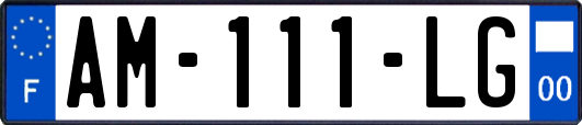 AM-111-LG