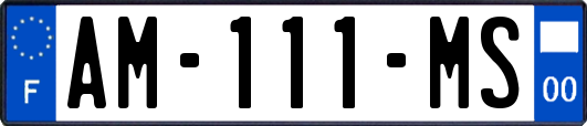 AM-111-MS