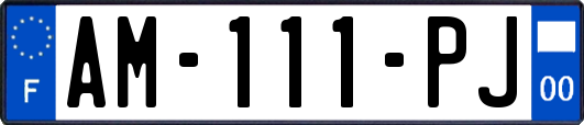 AM-111-PJ