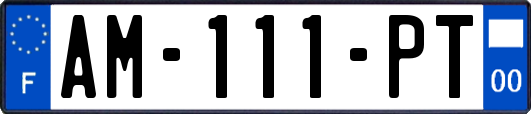 AM-111-PT