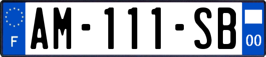AM-111-SB