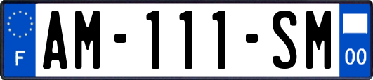 AM-111-SM