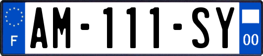AM-111-SY