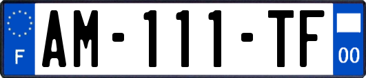 AM-111-TF