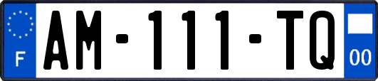 AM-111-TQ