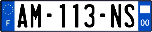 AM-113-NS