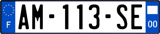 AM-113-SE