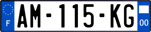 AM-115-KG