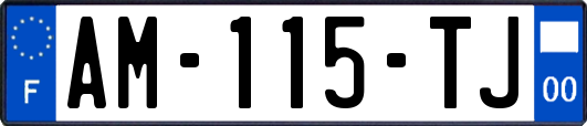 AM-115-TJ