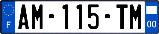 AM-115-TM