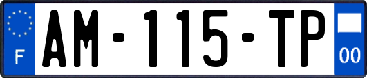 AM-115-TP