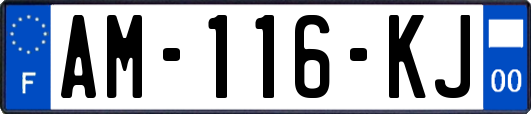 AM-116-KJ