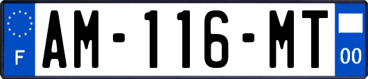 AM-116-MT
