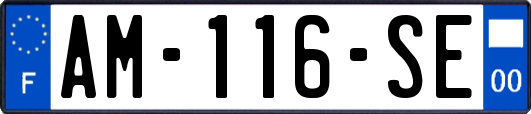 AM-116-SE