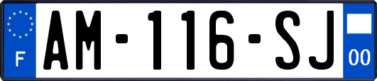 AM-116-SJ