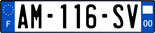 AM-116-SV
