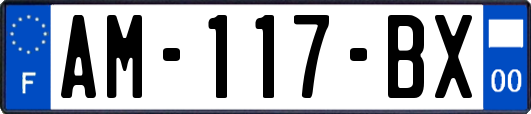 AM-117-BX