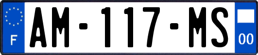 AM-117-MS