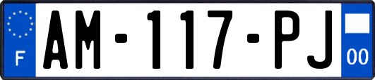 AM-117-PJ