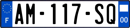 AM-117-SQ