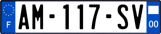 AM-117-SV
