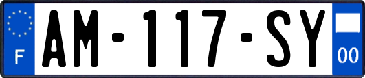 AM-117-SY