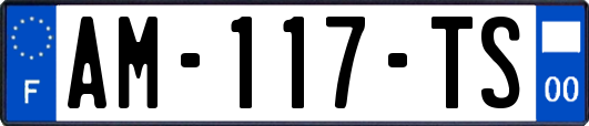 AM-117-TS