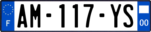 AM-117-YS