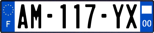 AM-117-YX