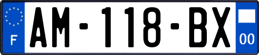 AM-118-BX