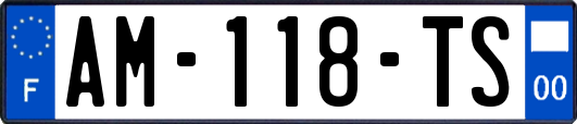 AM-118-TS
