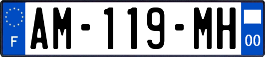 AM-119-MH