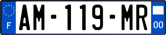 AM-119-MR