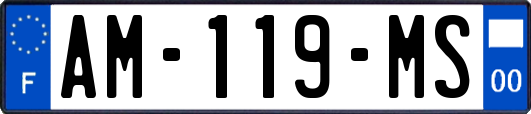 AM-119-MS